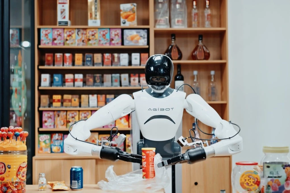 Humanoid robot